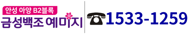 안성 아양 B2블록 금성백조 예미지