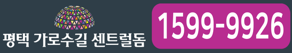 평택 가로수길 센트럴돔