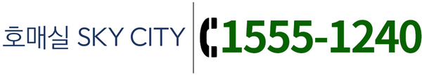 호매실 스카이시티