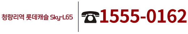 청량리역 롯데캐슬 SKY-L65